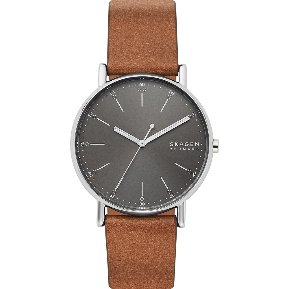 Skagen Montre pour hommes Acier inoxydable Montre