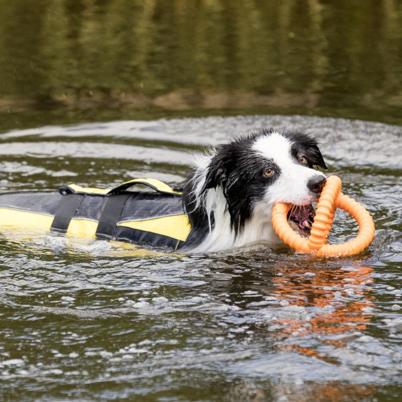 Trixie Schwimmweste für Hunde zu TOP-Preisen
