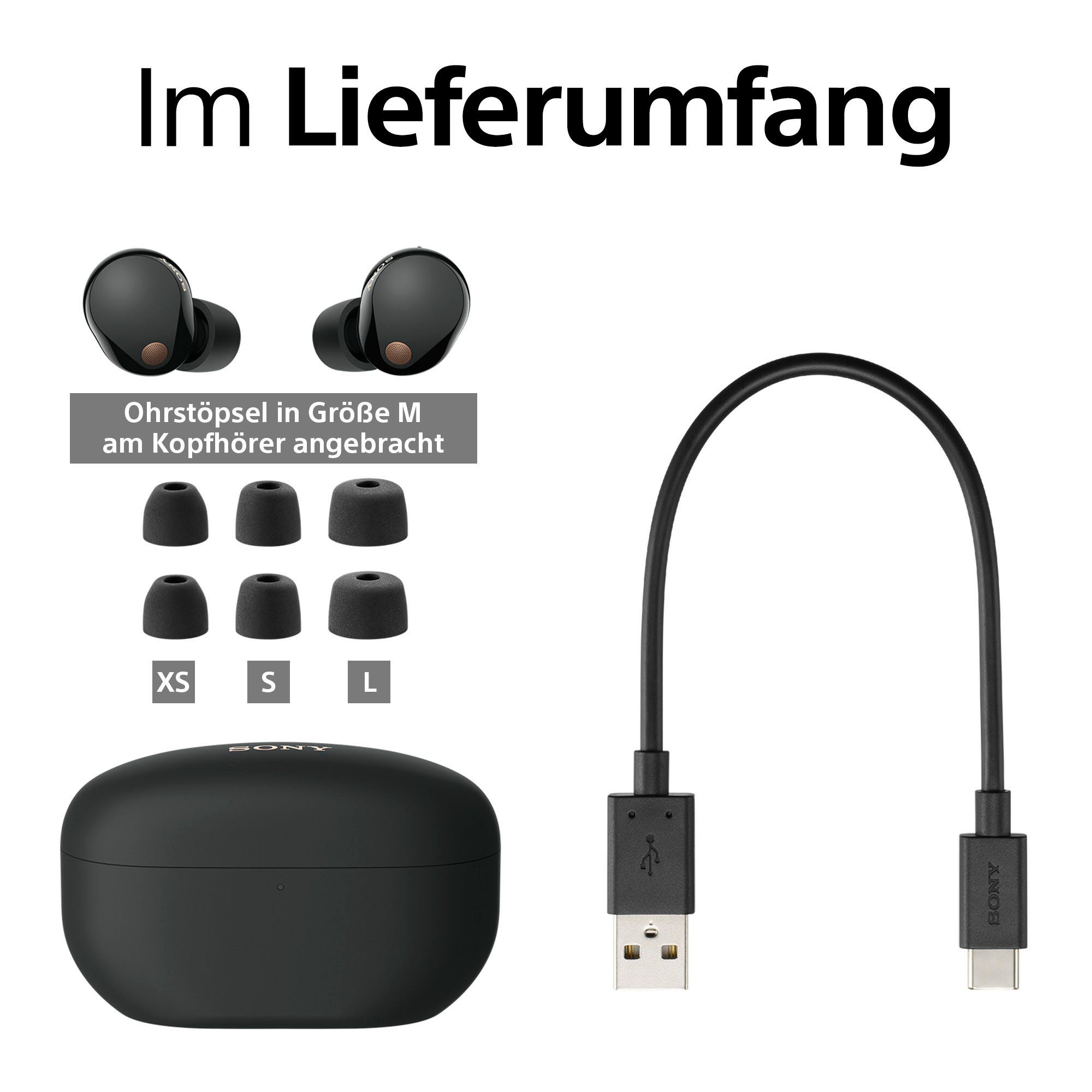 Sony WF-1000XM5 In-Ear-Kopfhörer (Noise-Cancelling, True Wireless, Alexa, Google Assistant, Bluetooth)
