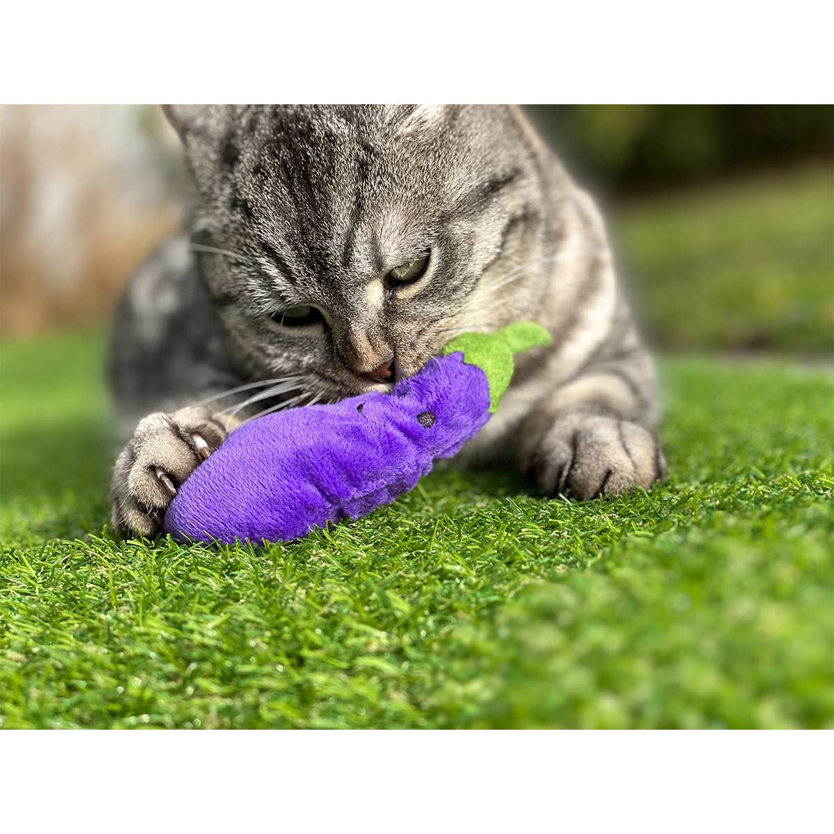 Aumüller Katzenspielkissen Aubergine günstig kaufen