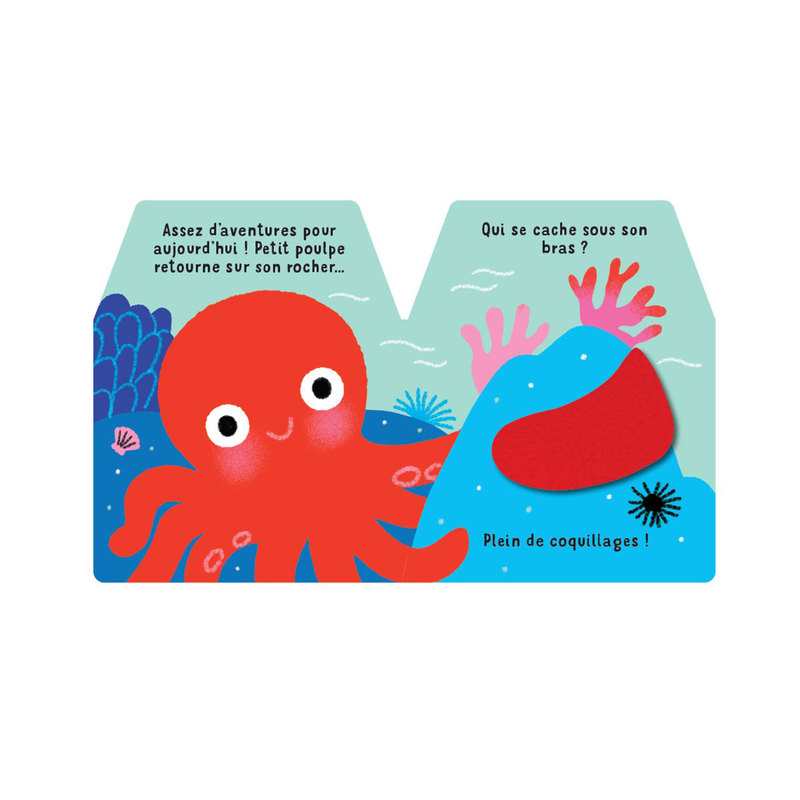 Livre Cache-cache petit poulpe - Nathan Jeunesse