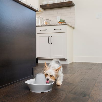 PetSafe® Streamside Keramik Trinkbrunnen