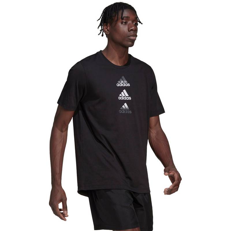 adidas Designed to Move Funktionsshirt Herren