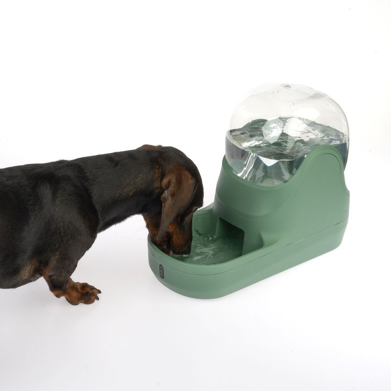 TIAKI Wasserspender Bubble zu TOP-Preisen
