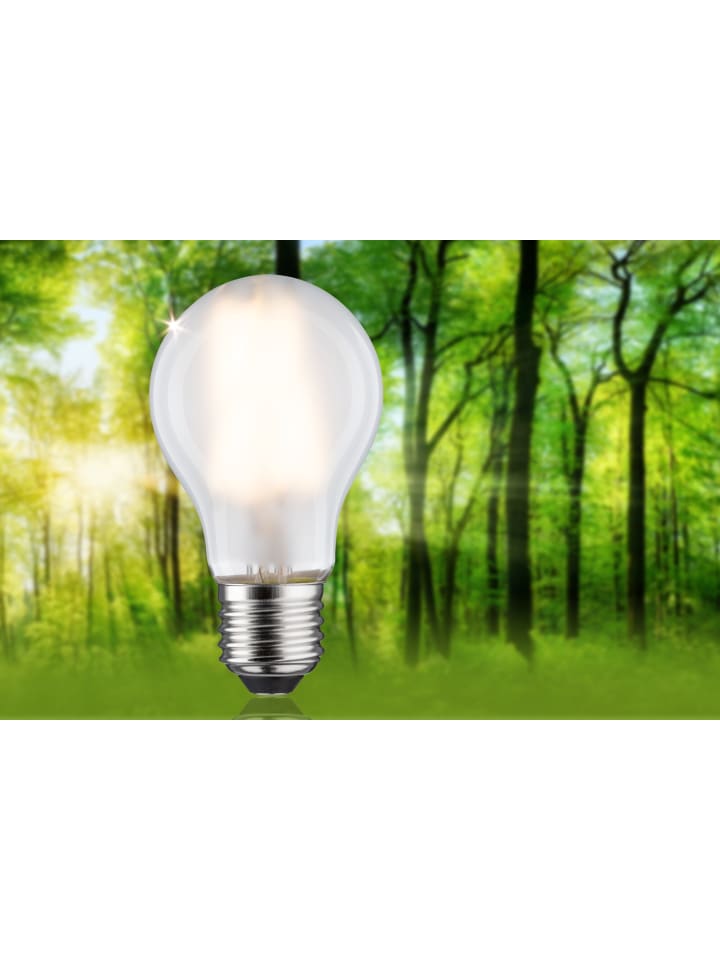 paulmann Eco-Line Filament 230V LED Birne 1er-Set A günstig kaufen onesize