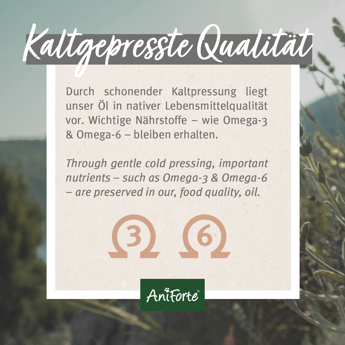 Aniforte Ergänzungsfutter & Aufzucht Aniforte Leinöl 1 Liter