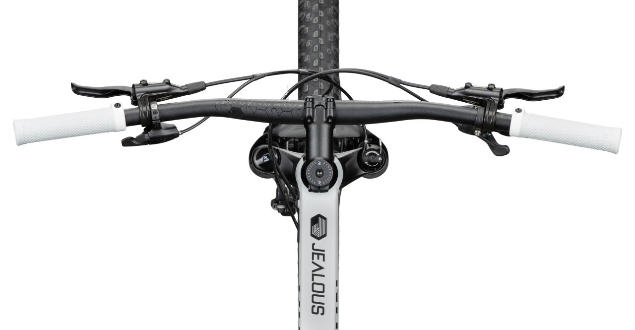 Radon Jealous AL 8.0 kaufen | Bike-Discount