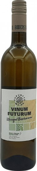 2021 Cabernet Blanc trocken Bio - Weingut Bischmann