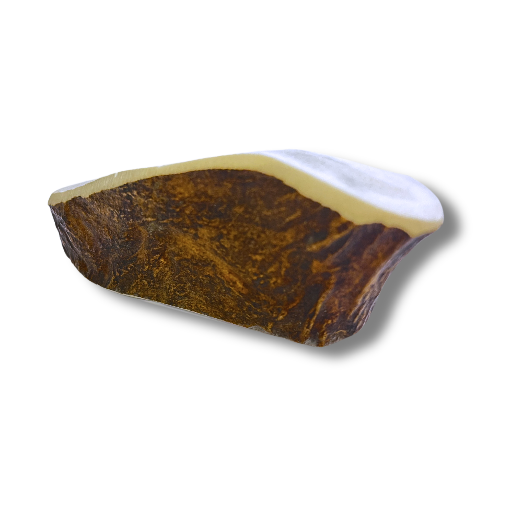 ChronoBalance Snacks ChronoBalance Elch Geweih Snack XL