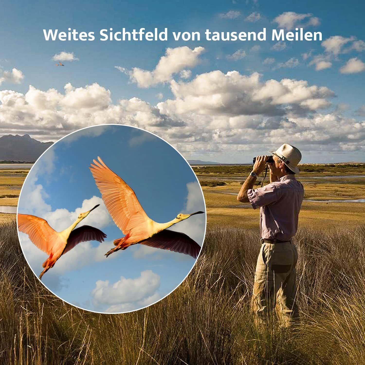 Usogood 10x50 Fernglas für Erwachsene HD Kompaktes Fernglas, BaK4-Prismen, Fernglas (Vogelbeobachtung,Wandern, Safari,FMC-Objektiv,Mit Smartphone-Adapter)