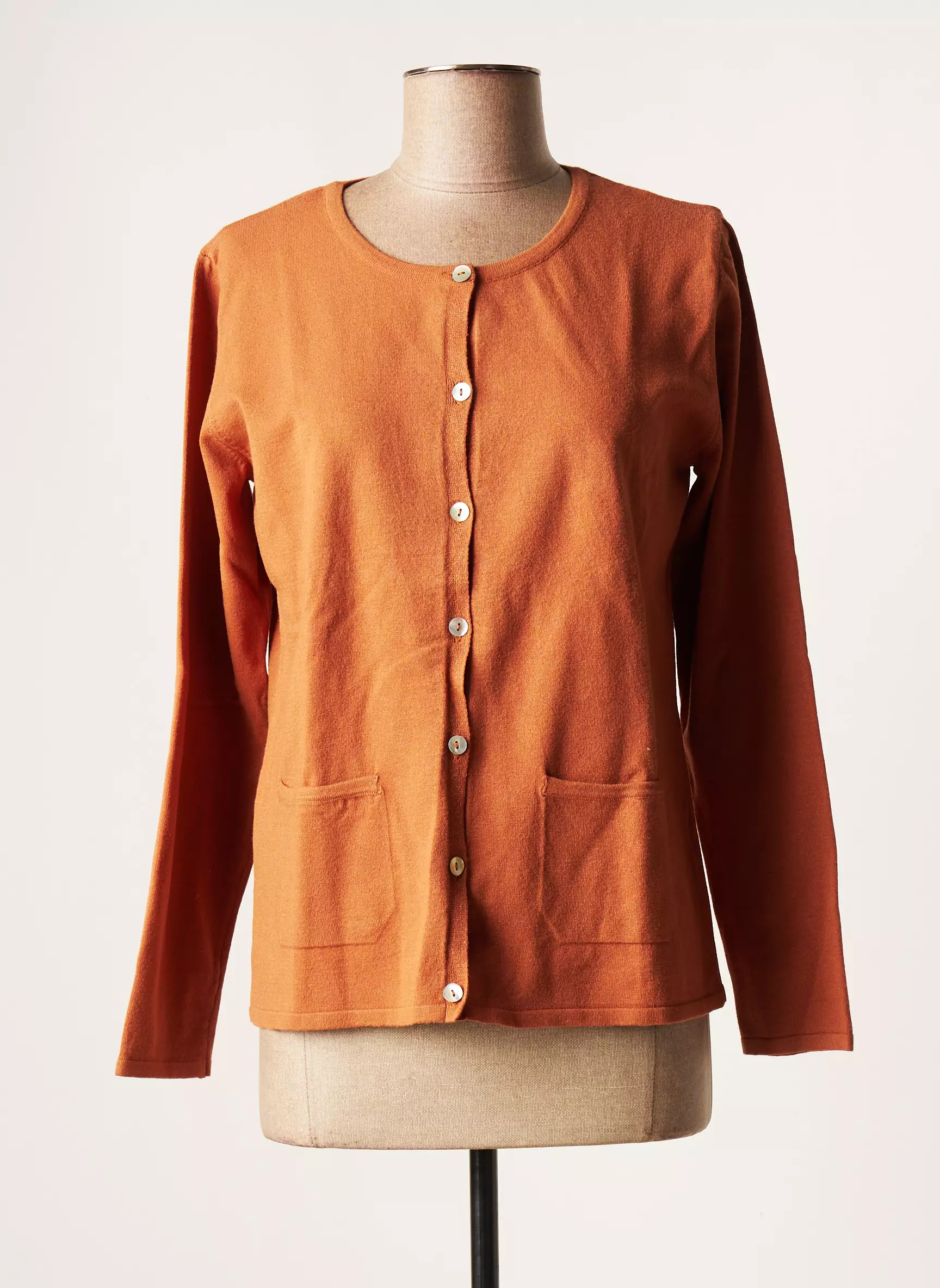 Griffon Cardigans Femme couleur marron