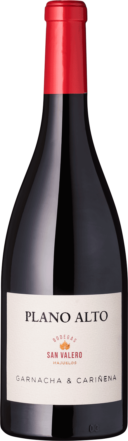 Bodegas San Valero 