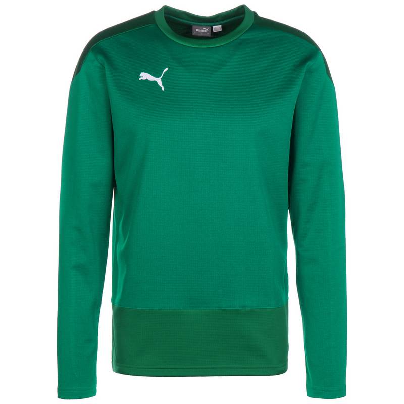PUMA teamGOAL 23 Funktionssweatshirt Herren