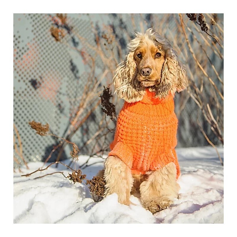 GF Pet Hundepullover GF Pet Scout Pullover Orange XXXS