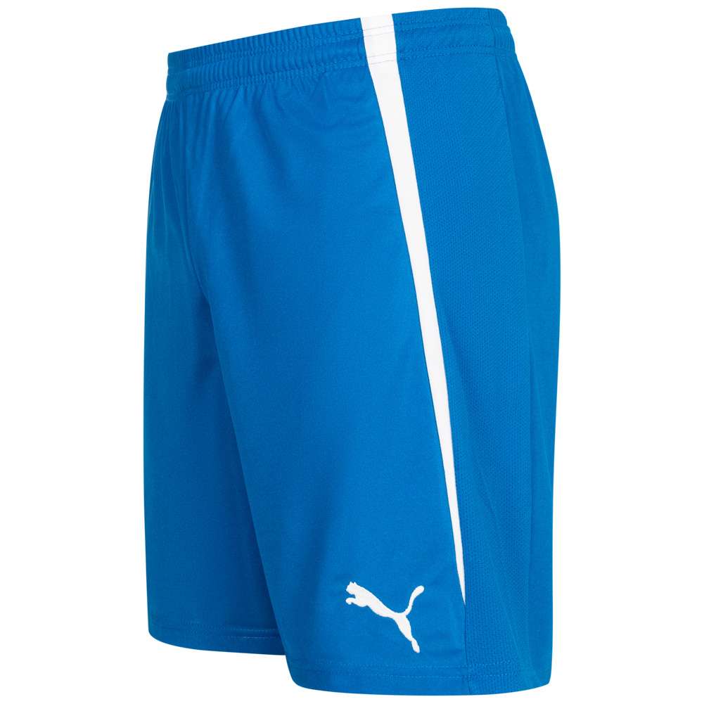 Dinamo Zagreb PUMA Herren Heim Shorts 745528-01