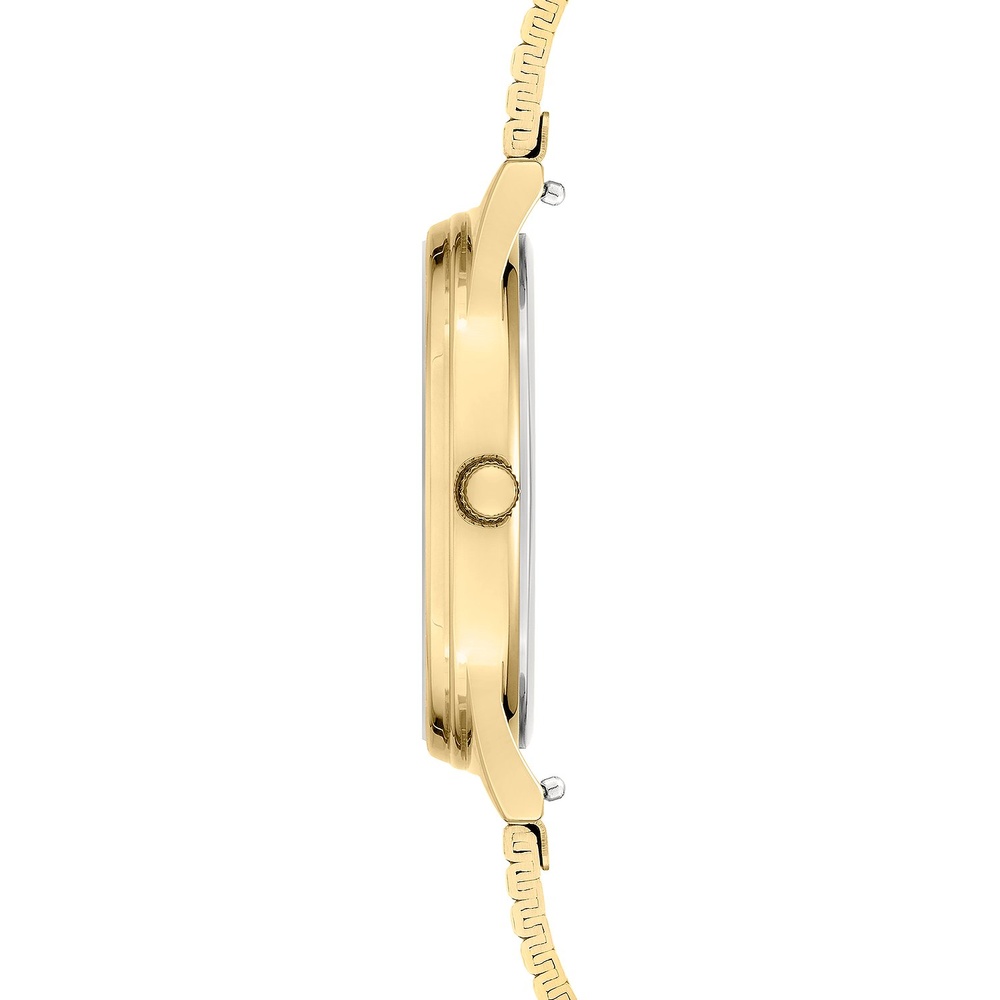 Liebeskind Montre pour femme Acier inoxydable Montre