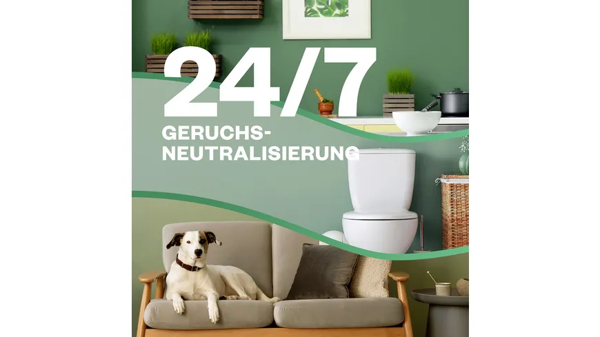Air Wick Active Fresh Aerosolfreies Automatisches Duftspray Nachfüller Jasminblüte 228ml 228 ml