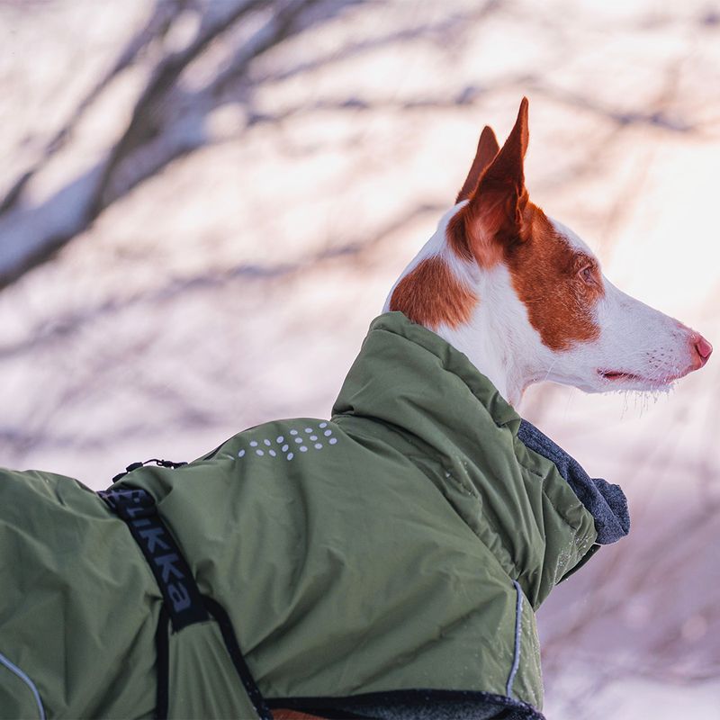 Rukka Warmup Hundemantel, oliv zu TOP-Preisen