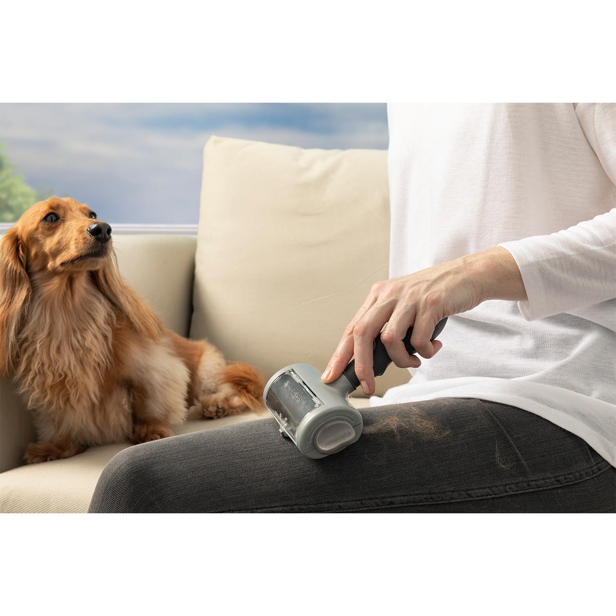 FURminator Tierhaarentferner günstig kaufen