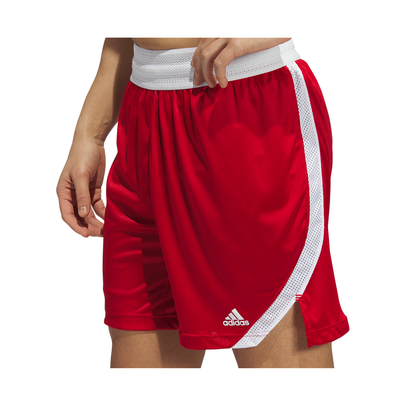 adidas Iconic Squad Short Rot