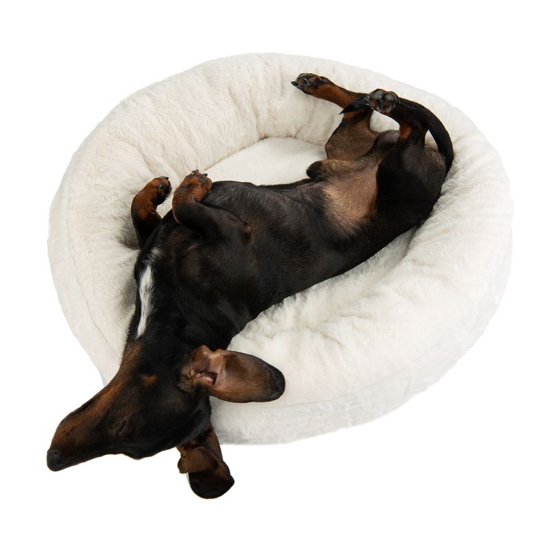 Kuschelbett Angora zu TOP-Preisen