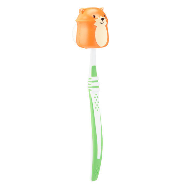 TOOTHBRUSH HOLDER