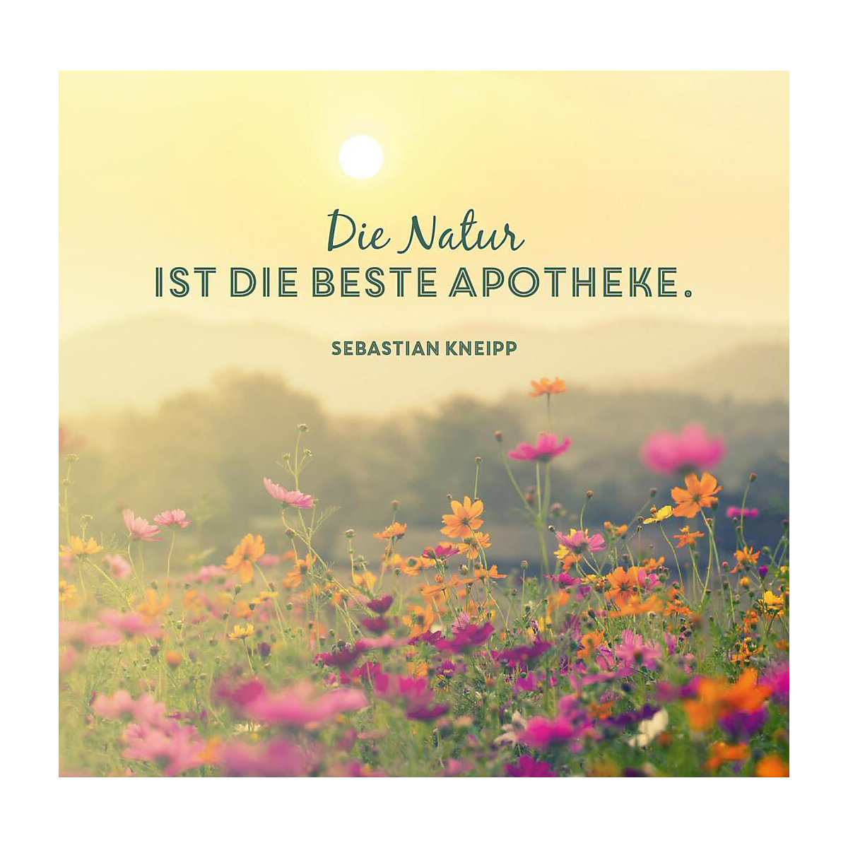 Wunderbares aus der Natur. Rezepte, Tipps und Anwendungen zum Wohlfühlen