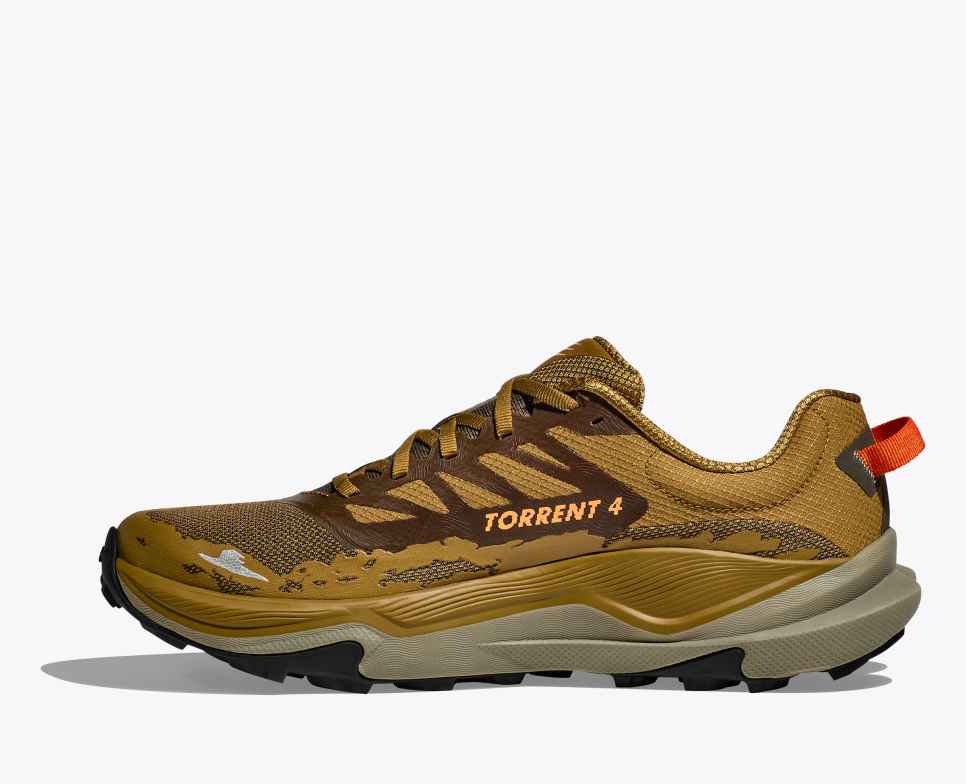 Torrent 4 Honey / Antique Olive