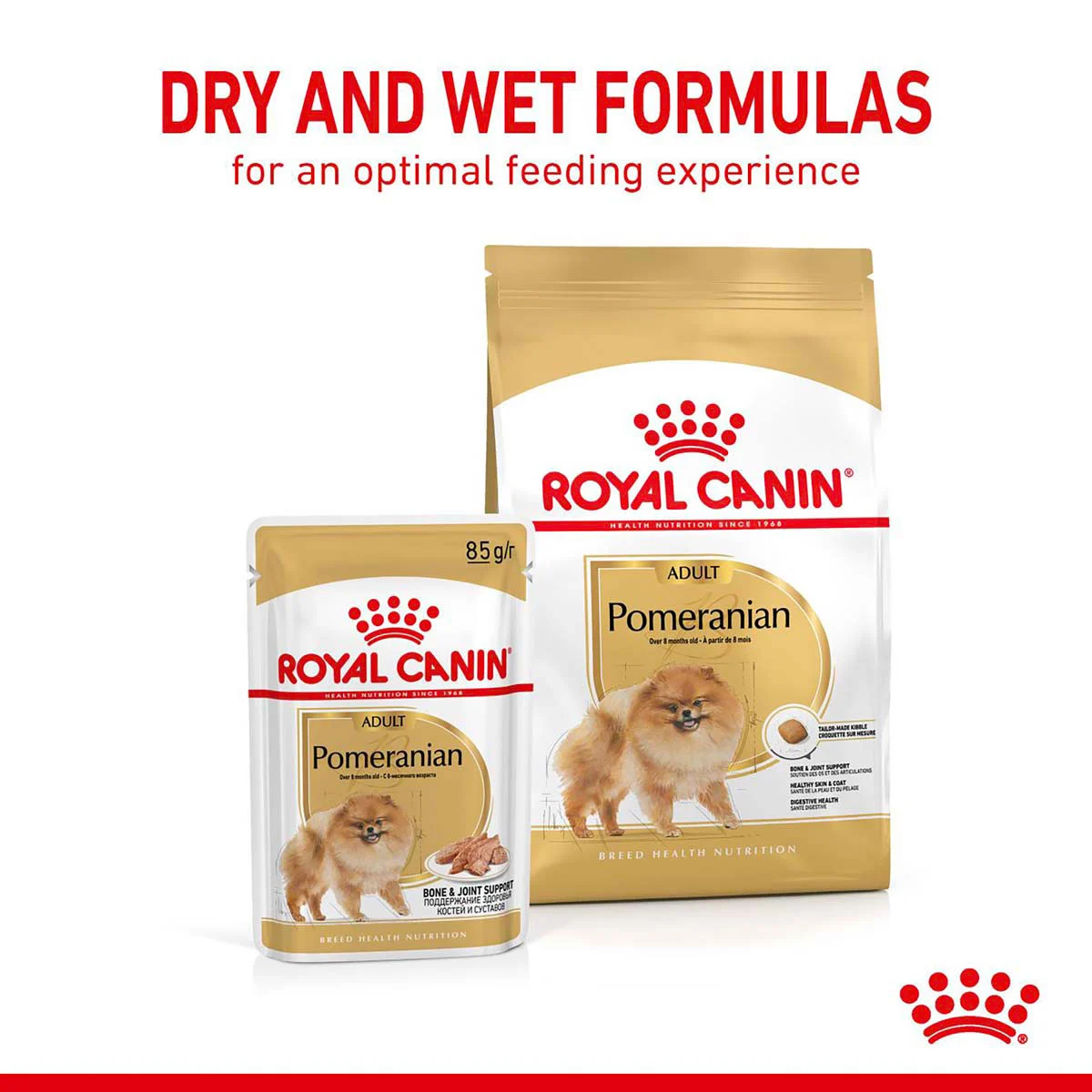 ROYAL CANIN POMERANIAN ADULT MOUSSE Feuchtnahrung für ausgewachsene Zwergspitze (>8 Monate) 12x85