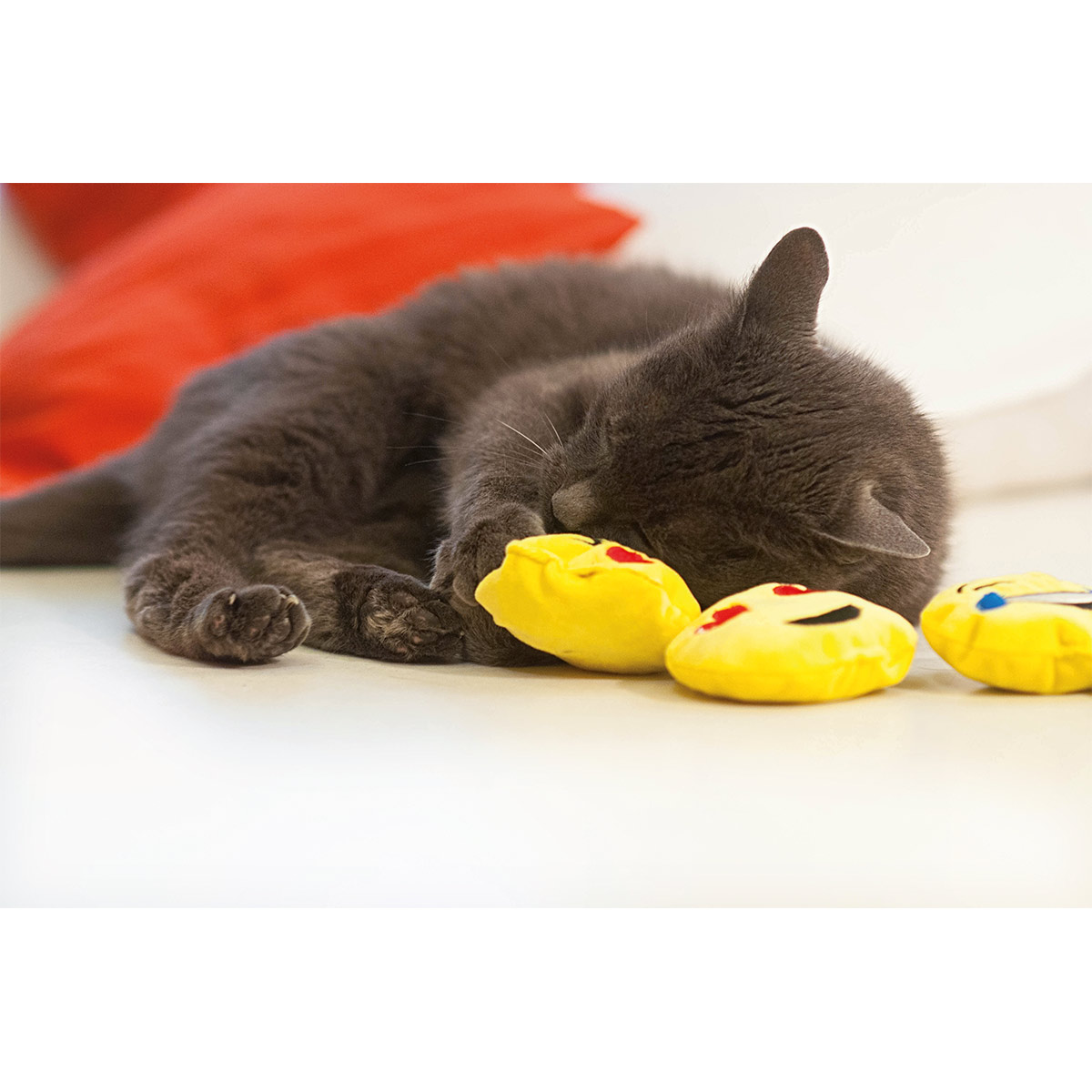 Aumüller Katzenspielkissen Emojis, 2er Set kaufen