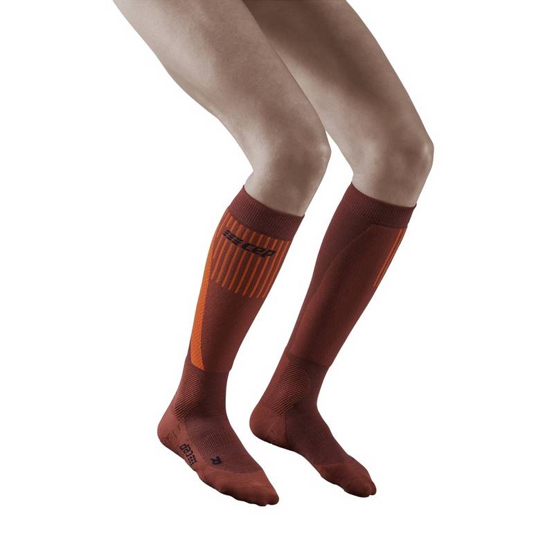 CEP Touring Socken Damen