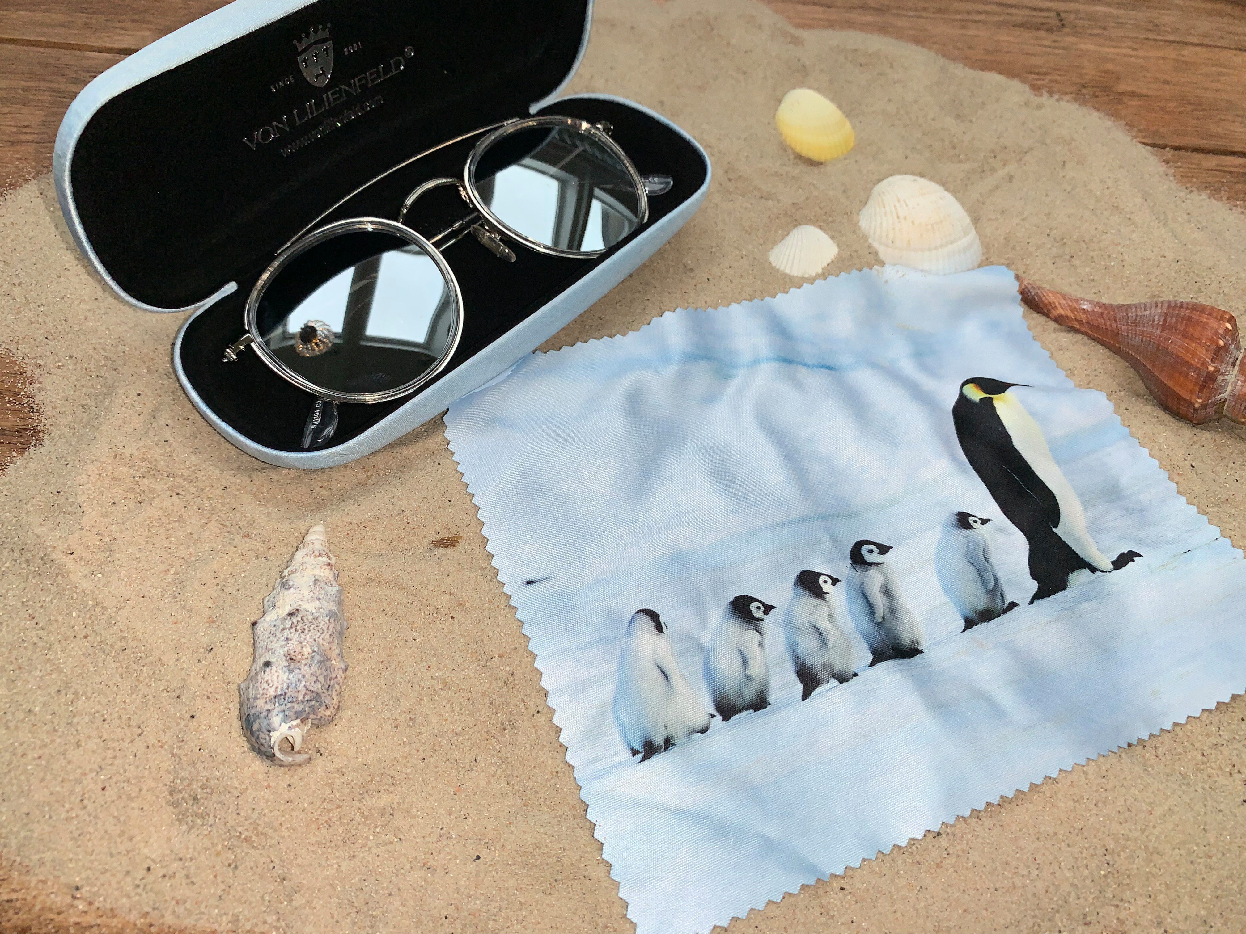 von Lilienfeld Brillenetui Brillenetui Pinguine Vogel Motiv Etui Brillenbox, stabiles mit Mikrofaser bezogenes Hardcase