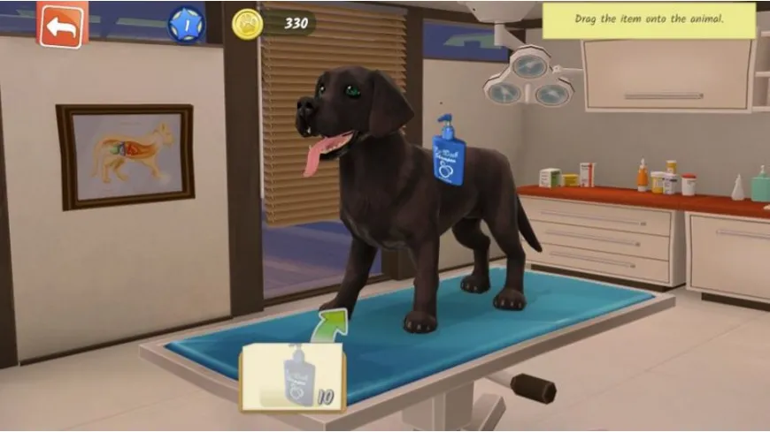 Animal Hospital