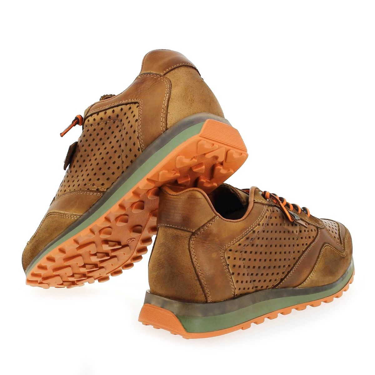 Cetti  C848 H22 - camel