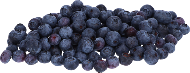 Bio Heidelbeeren