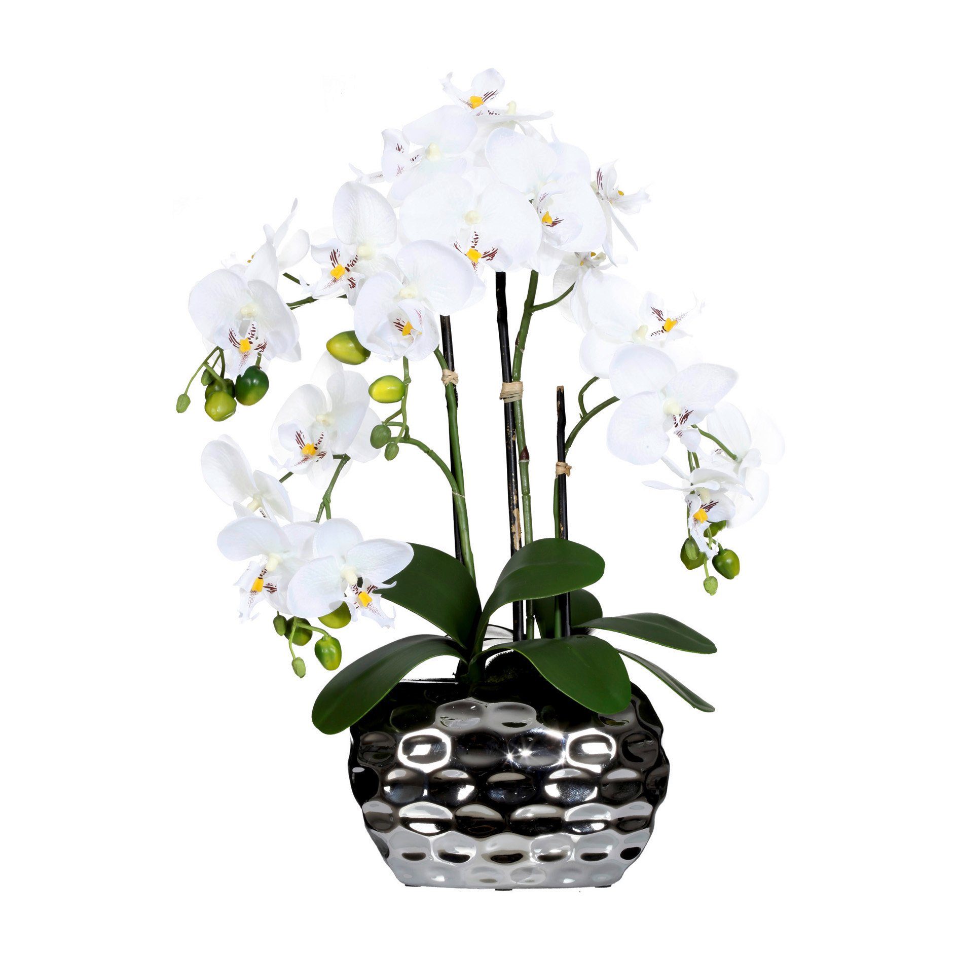 Kunstorchidee Kunstpflanze Orchidee Orchidee, Creativ green, Höhe 55.00 cm, im Keramiktopf