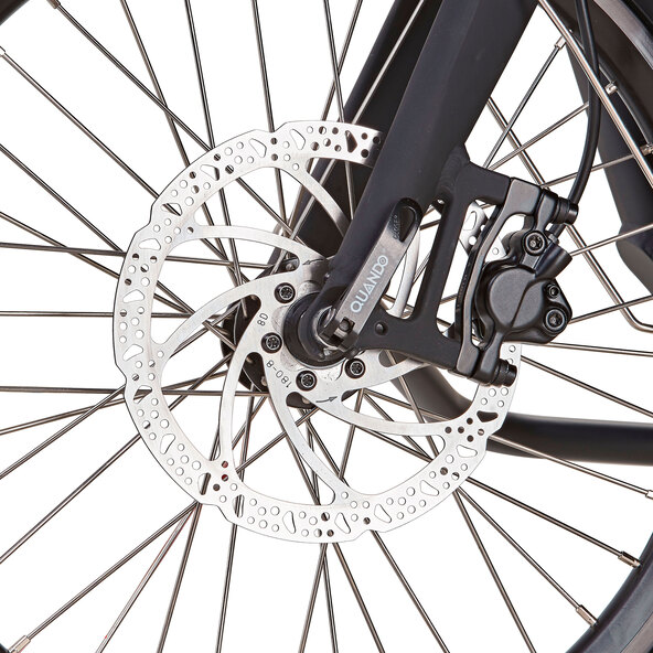E-Bike Cargo Plus