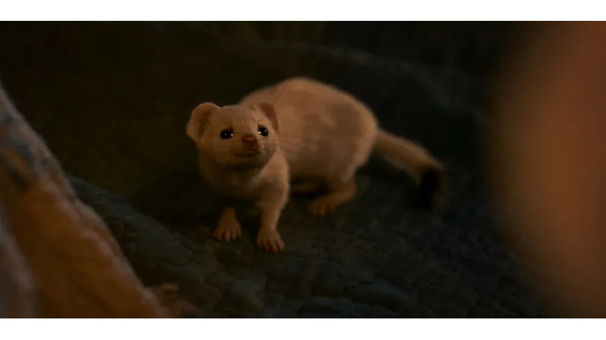 His Dark Materials: Staffel 3  [2 BRs]