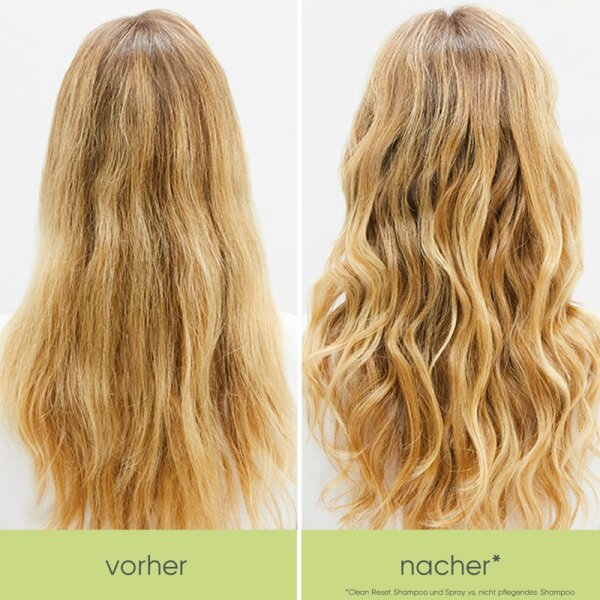 Biolage Cleanreset Normalizing Shampoo