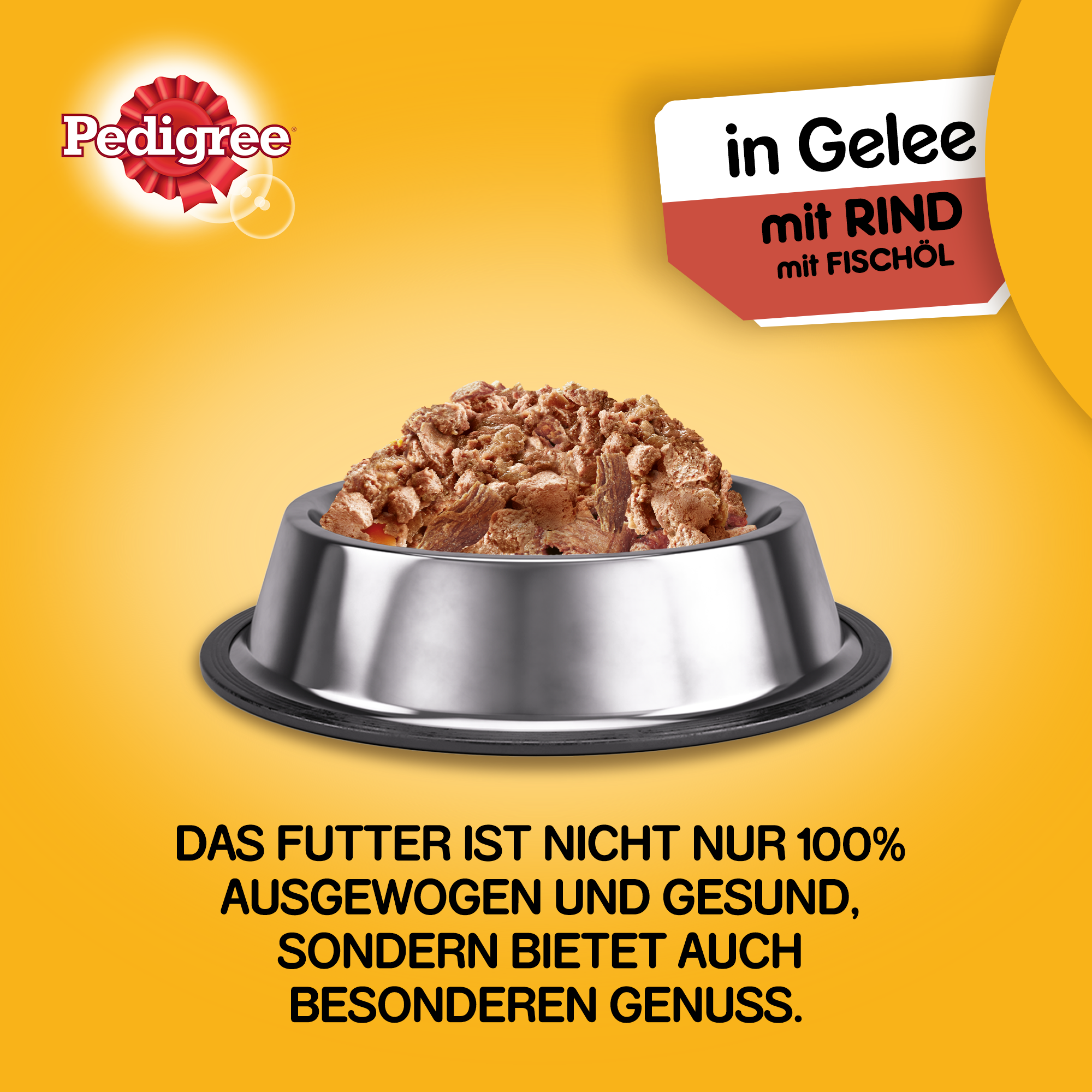 Pedigree Hundenassfutter Pedigree Adult Plus 12x800g Rind mit Fischöl, in Gelee