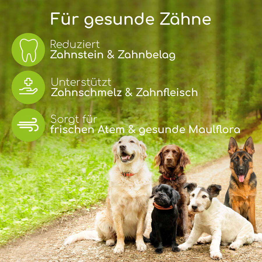 Wolfsbacher Natur Zahnpflege Wolfsbacher Natur Zahnpflege Leckerli