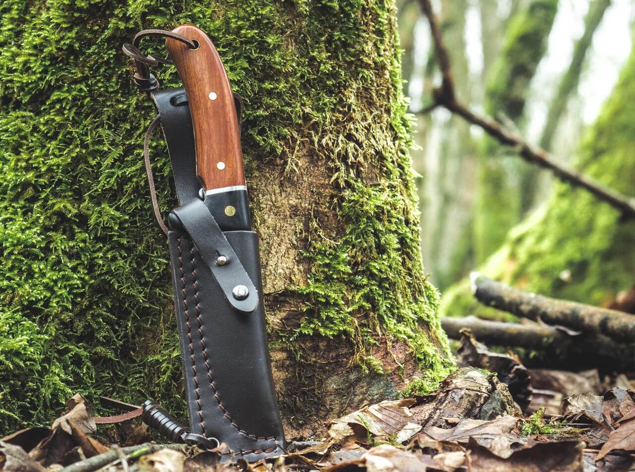 Elk Hunter Special