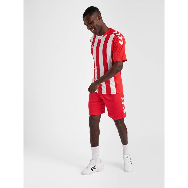 hummel hmlCORE XK STRIPED JERSEY S/S Trikot Herren