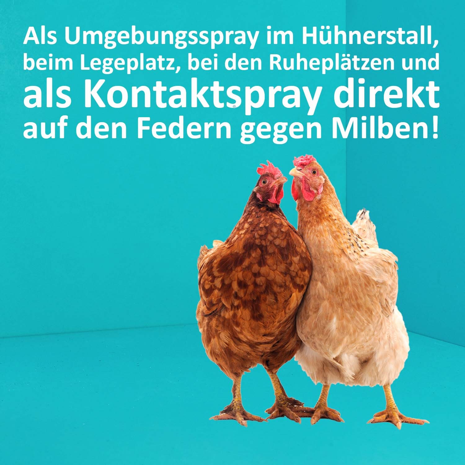 Greenhero Zubehör Greenhero Milbenspray für Hühner