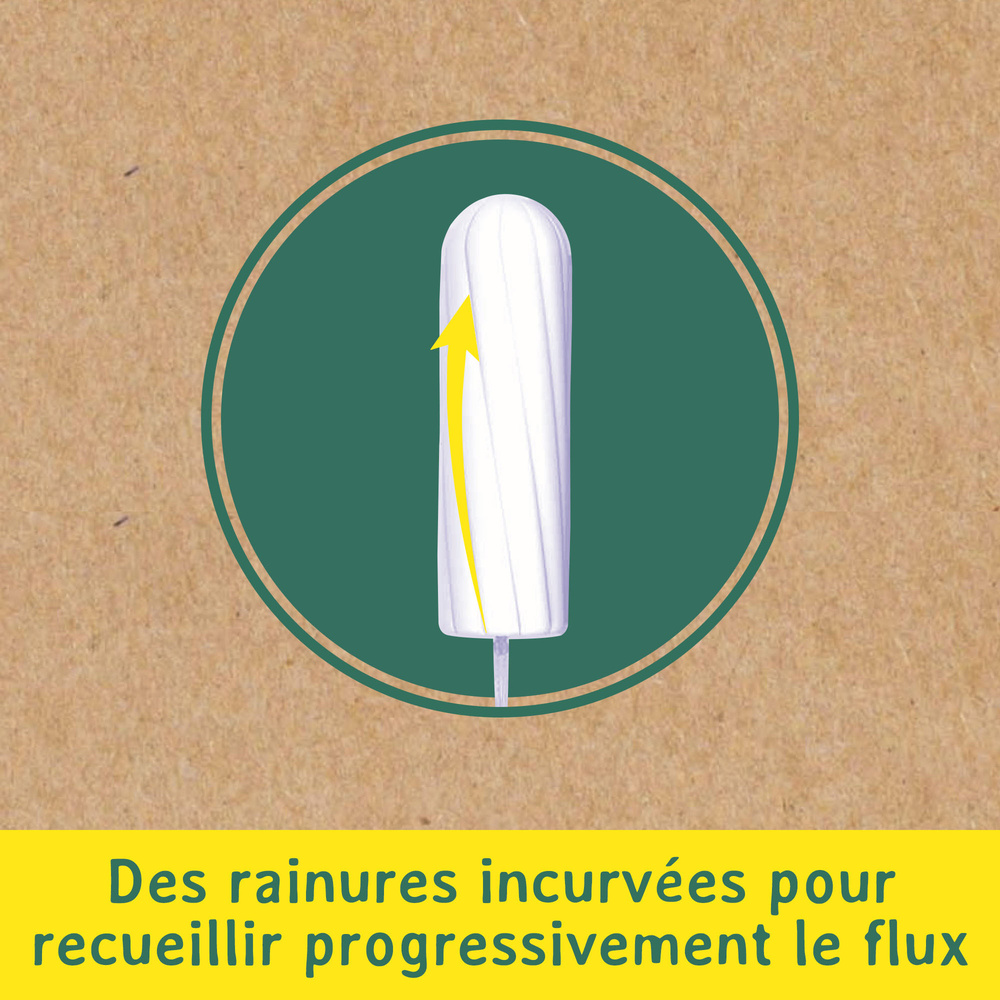 nett Coton Bio Tampon avec Applicateur, Normal, Boite de 16 Tampons Tampon