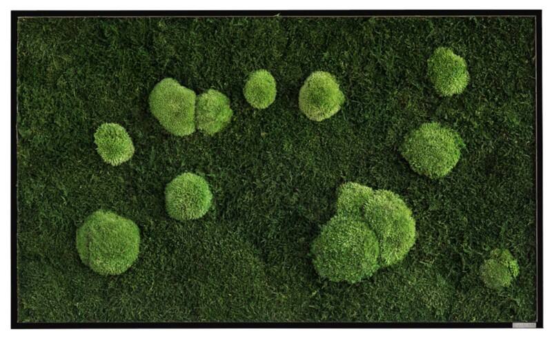 best of GREEN Moos-Wand boGsGMbWKm100x60HoWe Grün