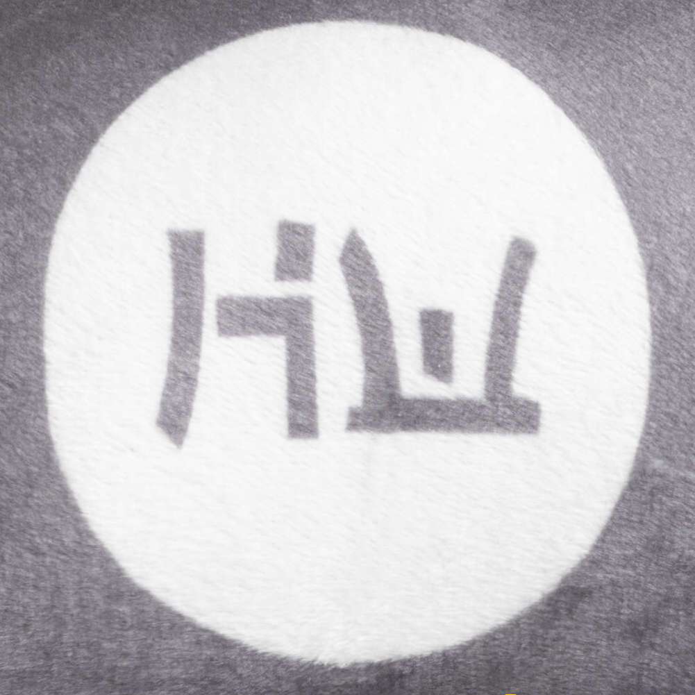 HIDETOSHI WAKASHIMA 