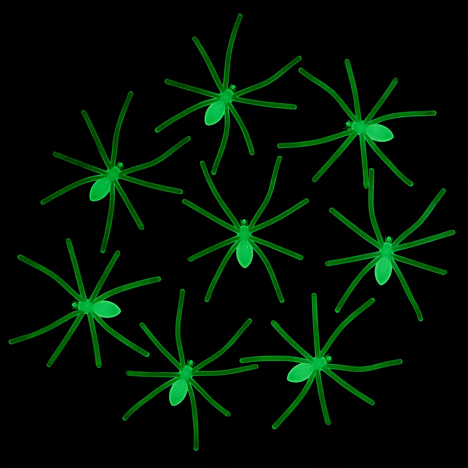 Spinnen 