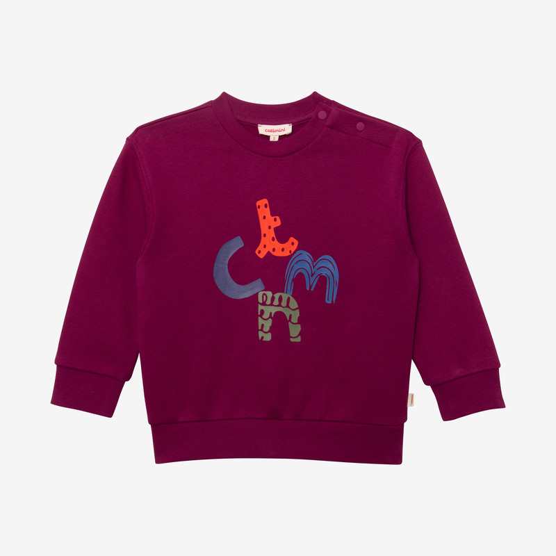Sweat bébé garçon violet en coton recyclé Catimini