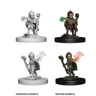 Gnome Male Druid: Pathfinder Deep Cuts Unpainted Minis